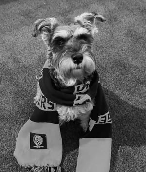 Screen Shot 2025-06-06 at 11.57.42 am